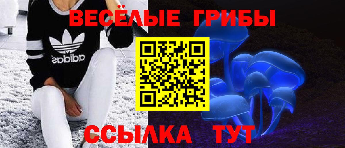 Псилоцибиновые грибы Cubensis Ейск