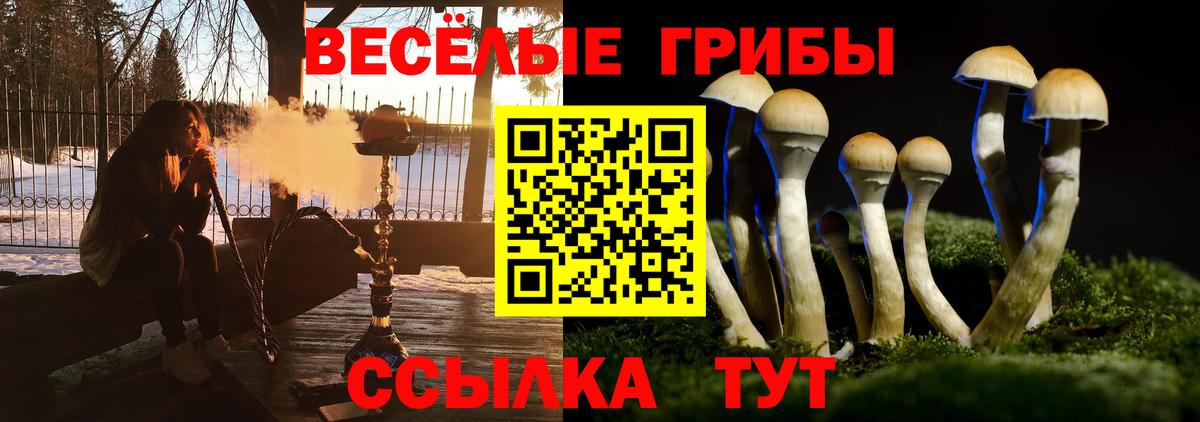 Ейск  Псилоцибиновые грибы прущие грибы  Вход с VPN 